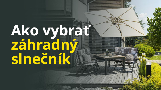 blog-vyber-slunecniku-SK